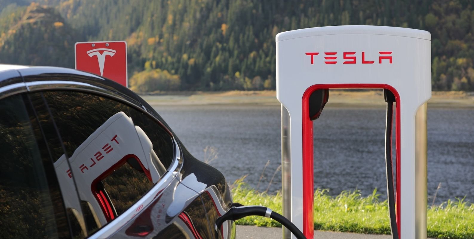 musk