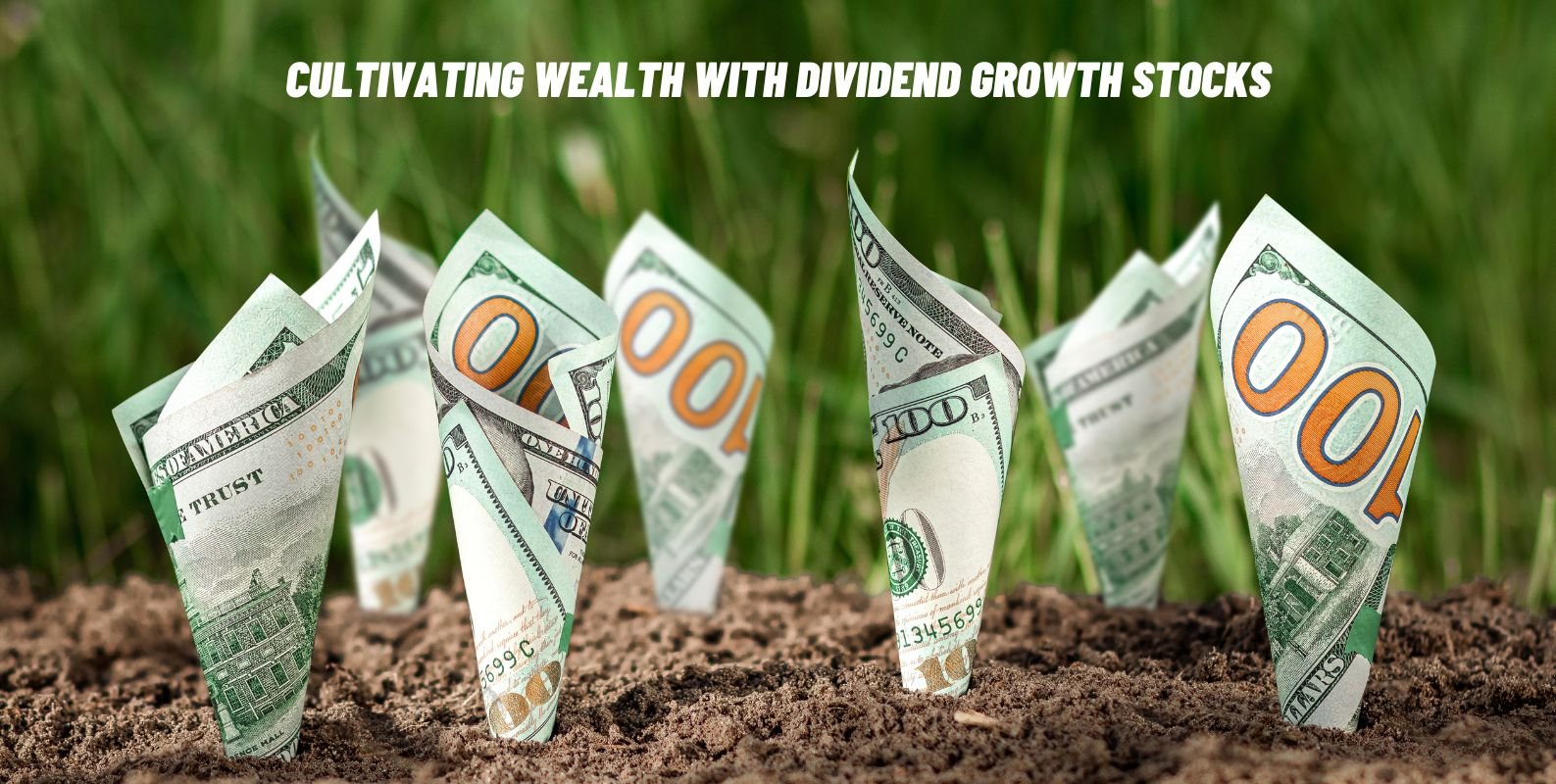 Dividend Stocks, Income Investing, High Dividend Yields, Dividend Growth Stocks