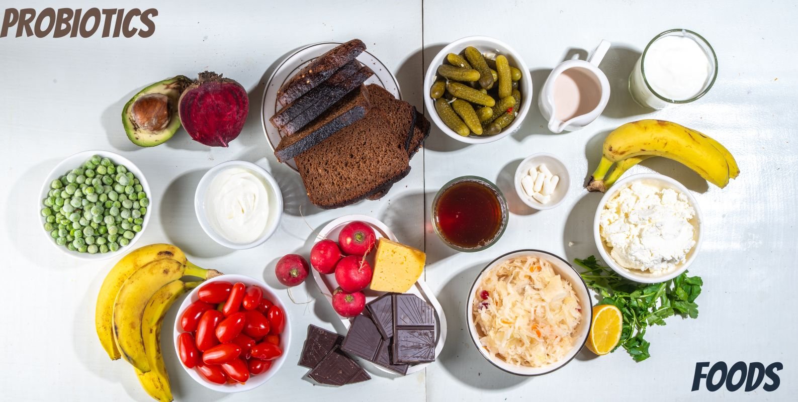 Probiotics and Digestion